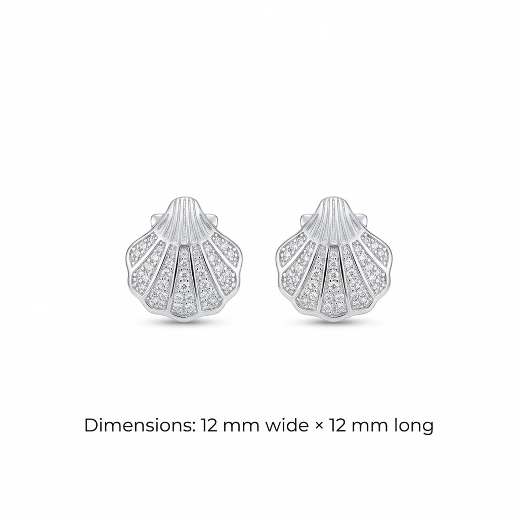 925 silver shell stud earrings with cubic zirconia stones isolated on a white background.