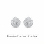 925 silver shell stud earrings with cubic zirconia stones isolated on a white background.